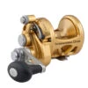 PENN INT16VISX International 16VISX Reel - Gold -Outlet Tackle Reel Crate Store CW72963 14374.1672153001