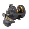 PENN FTHII25NSD Fathom II Star Drag Conventional Reel -Outlet Tackle Reel Crate Store CW80508 10281.1672152368