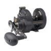 PENN FTHII25NSDP Fathom II Star Drag Conventional Reel -Outlet Tackle Reel Crate Store CW80509 81889.1672152369