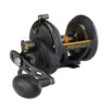PENN Squall II Star Drag Conventional Reel - SQLII30SD -Outlet Tackle Reel Crate Store CW85475 55582.1672153079