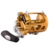 PENN International VI Series INT30VIW Trolling Reel 1 PENN International VI Series INT30VIW Trolling Reel -Outlet Tackle Reel Crate Store CW90467 58995.1672152571