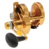 PENN Torque Lever Drag 2 Speed Reel Gold TRQ25NLD2 2 PENN Torque Lever Drag 2 Speed Reel Gold TRQ25NLD2 -Outlet Tackle Reel Crate Store CW97437 66219.1672152700