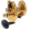 PENN Torque Lever Drag 2 Speed Reel Gold TRQ30LD2 -Outlet Tackle Reel Crate Store CW97439 42103.1672152705